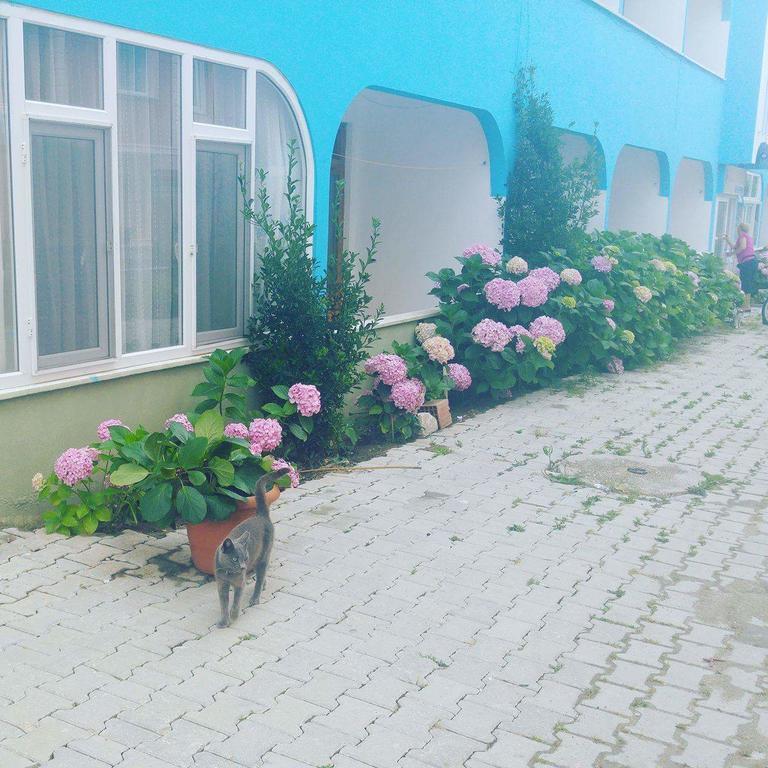 Ada Motel Türkeli Екстериор снимка